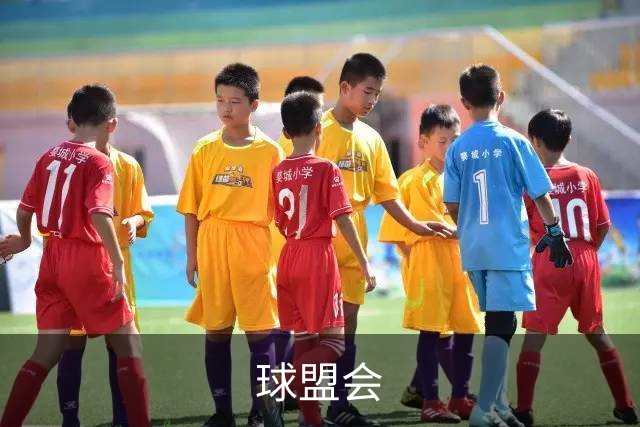 球盟会公司简介